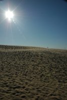 Wydmy ruchome w S�owi�skim Parku Narodowym